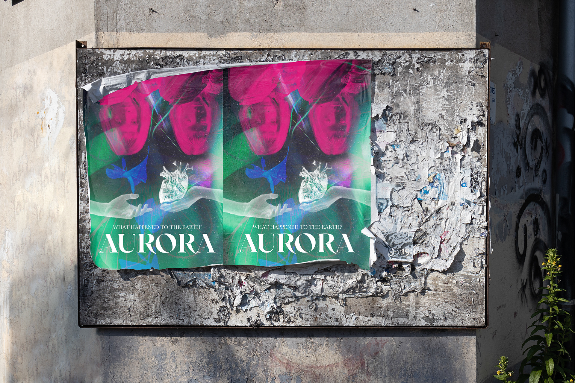 Aurora 2